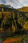 Autumn color along Stevens Creek in Mount Rainier National Park, Washington State, USA Art Print